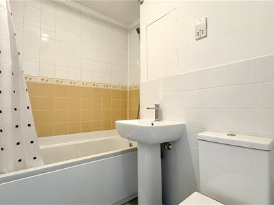 Picture 10